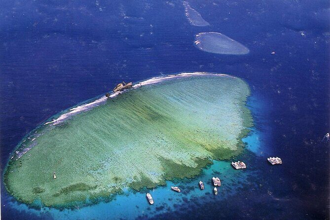 Tiran Island Full Day Snorkeling Sea Trip & intro dive 15 min - Sharm El Sheikh - Balancing the Experience: The Pros and Cons