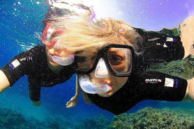 Tiran Island Snorkeling Experience by Yacht Sharm El Sheikh - Who Will Love This Tour?