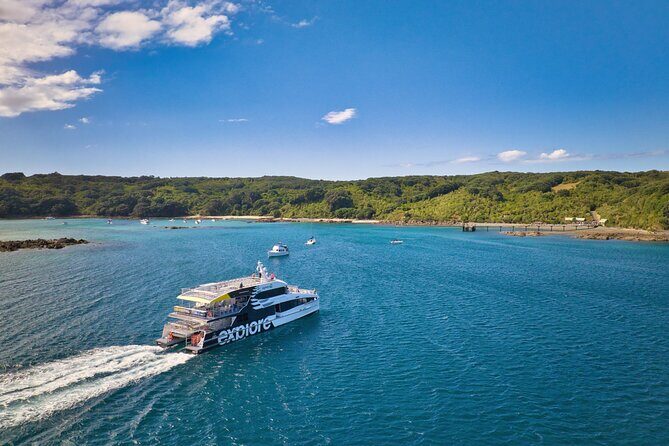 Tiritiri Matangi Island Discovery - from Auckland - The Value of this Experience