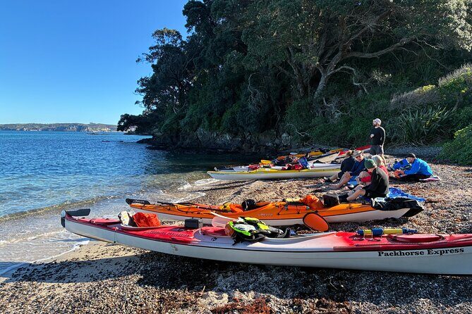 Tiritiri Matangi Sea Kayak Tour - Authentic Experiences from Real Travelers
