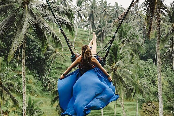 Tirta Empul temple, Jungle Swing and Waterfalls - Private Tour - The First Stop: Tegalalang Rice Terrace
