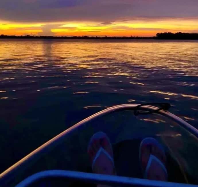 Titusville: Bioluminescent Clear Kayak Tour - Key Points