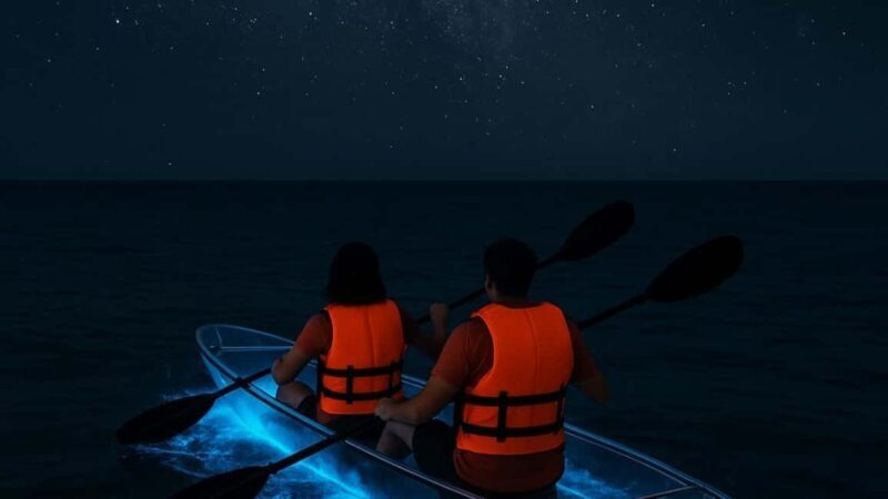 Titusville: Bioluminescent Clear Kayak Tour - Final Thoughts