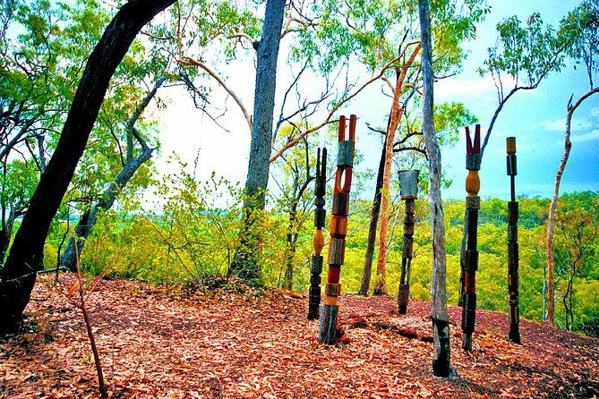 Tiwi Islands Cultural Experience from Darwin Including Ferry - An In-Depth Look at the Tour