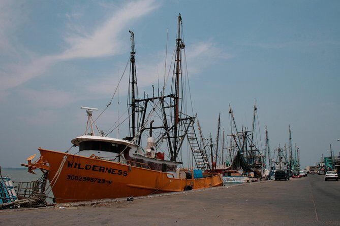Tlacotalpan World Heritage Site and Alvarado Day Trip - An In-Depth Look at the Tour Experience