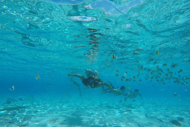 Toa Boat Bora Bora Private Lagoon Tour On Entertainer Bar Boat - Experience Overview: What to Expect on the Lagoon Tour