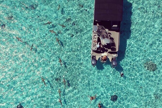 Toa Boat Bora Bora Private Lagoon tour with Lunch on Entertainer Bar Boat - Value and Pricing