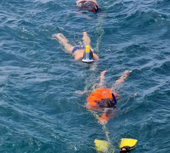 Tobago: Buccoo Reef and Nylon Pool Boat Tour with Transfer - A Closer Look at the Tour Experience