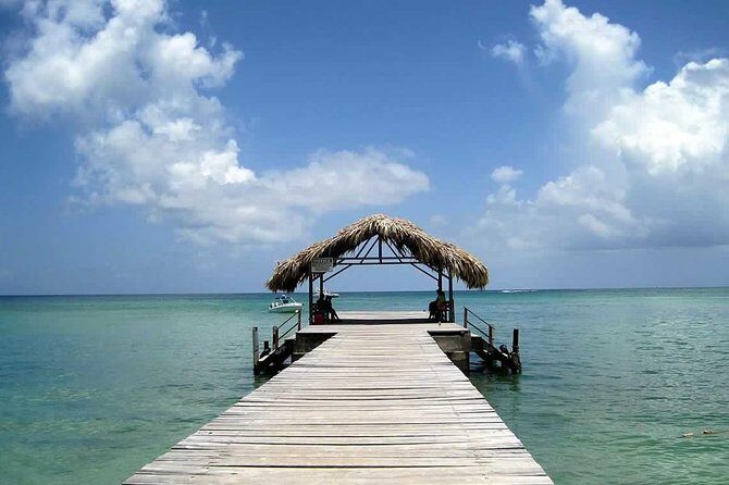 Tobago Buccoo Reef Glass Bottom Boat Tour - An In-Depth Look at the Tour Experience