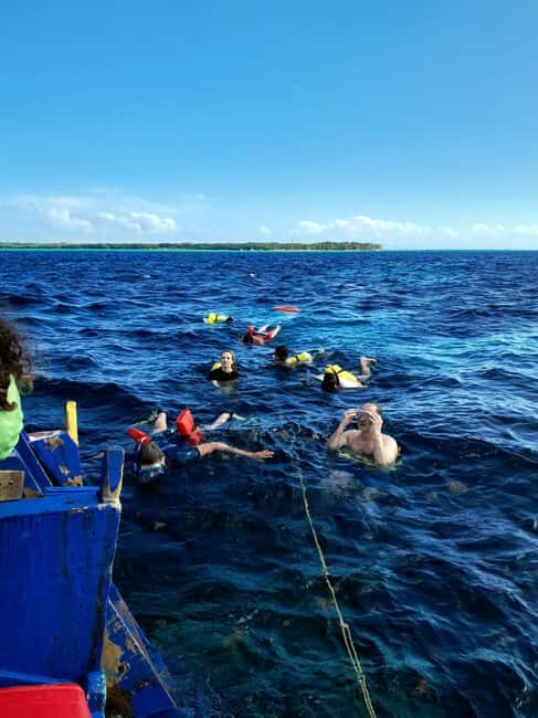 Tobago: Coral Reef Boat Tour with BBQ and Transfer - The Itinerary Breakdown — What to Expect