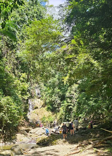 Tobago: Half Day Atlantic Coast Tour with Transfer - Key Points
