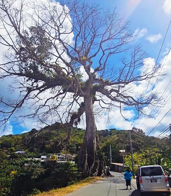 Tobago: Half Day Atlantic Coast Tour with Transfer - FAQ