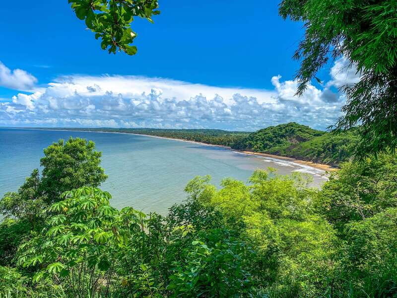 Tobago: Island Circle - Introduction