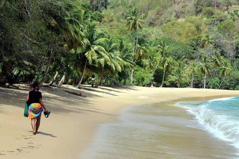 Tobago: Island Circle - Who Should Consider This Tour?