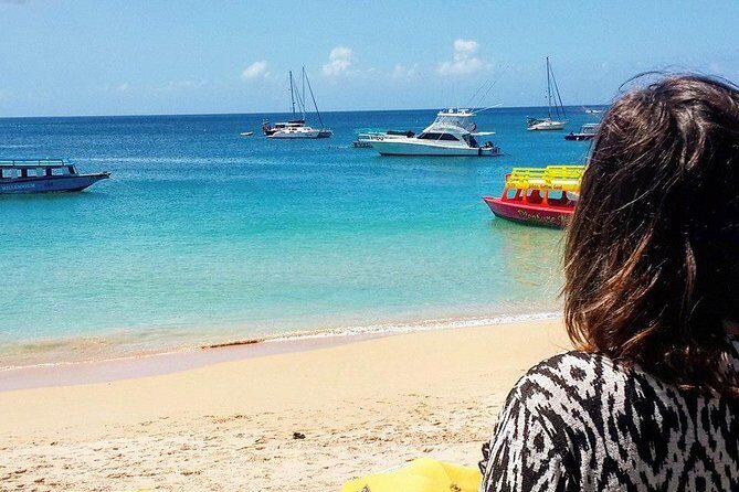 Tobago Island Tour - Exploring Tobago in a Day: What You Can Expect
