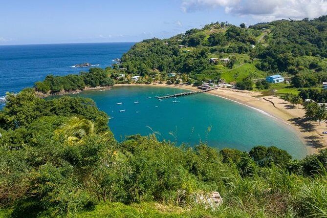 Tobago Island Tour - Exploring Tobago in a Half Day: What to Expect