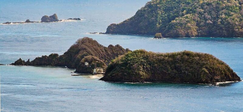Tobago: Little Tobago Bird Sanctuary Visit and Boat Tour - Snorkeling at Goat Island: Marine Life Close Up