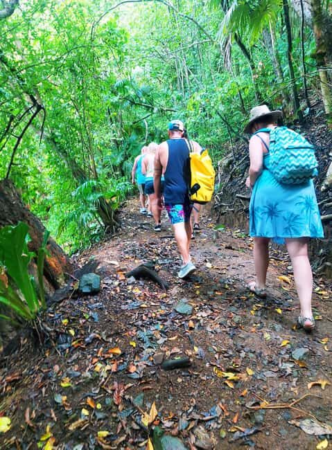 Tobago: Little Tobago Bird Sanctuary Visit and Boat Tour - Return and Reflection