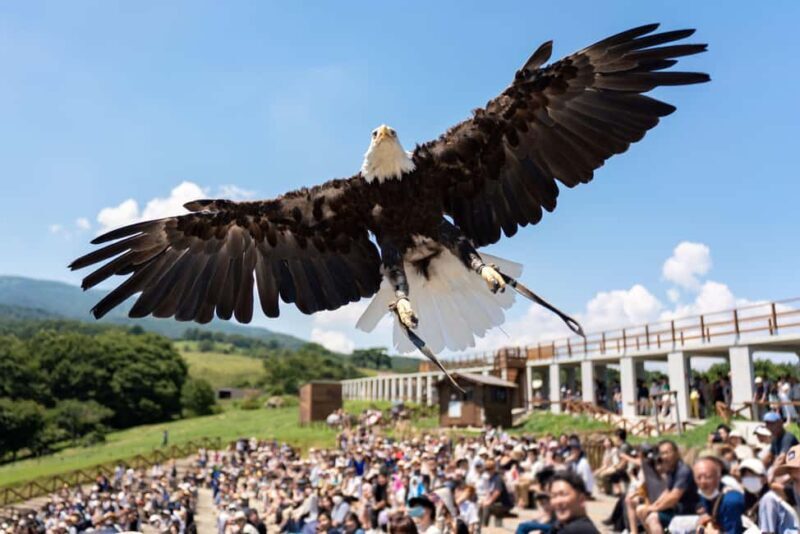 Tochigi: Nasu Animal Kingdom Entry Ticket - When to Visit