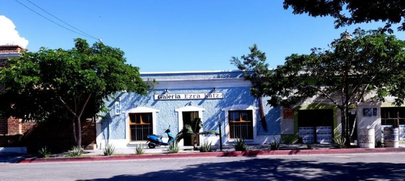 Todos Santos: Art & Culture Experience by Mexican Artist - FAQ: Practical Questions Answered