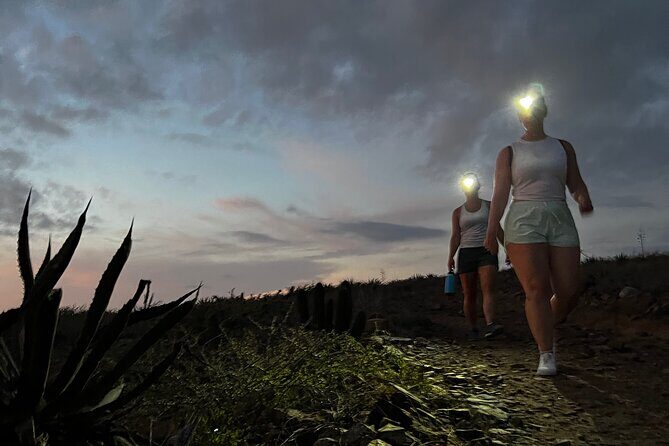 Todos Santos Sunset Hike - What Travelers Say