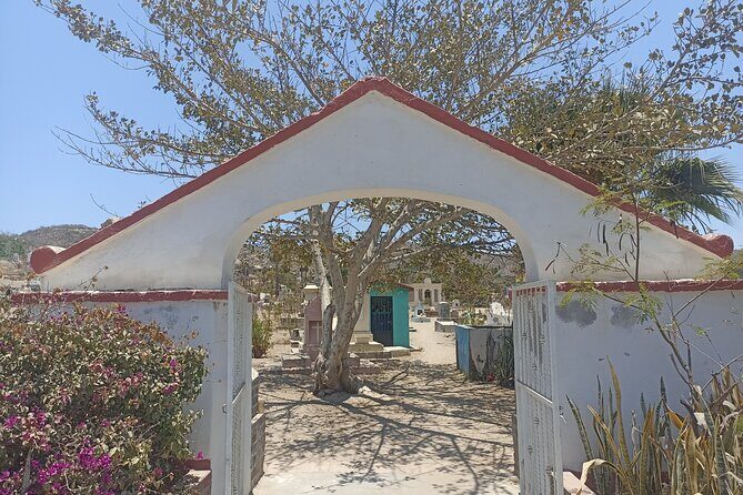Todos Santos Treasure Hunt - Who Will Love This Tour?