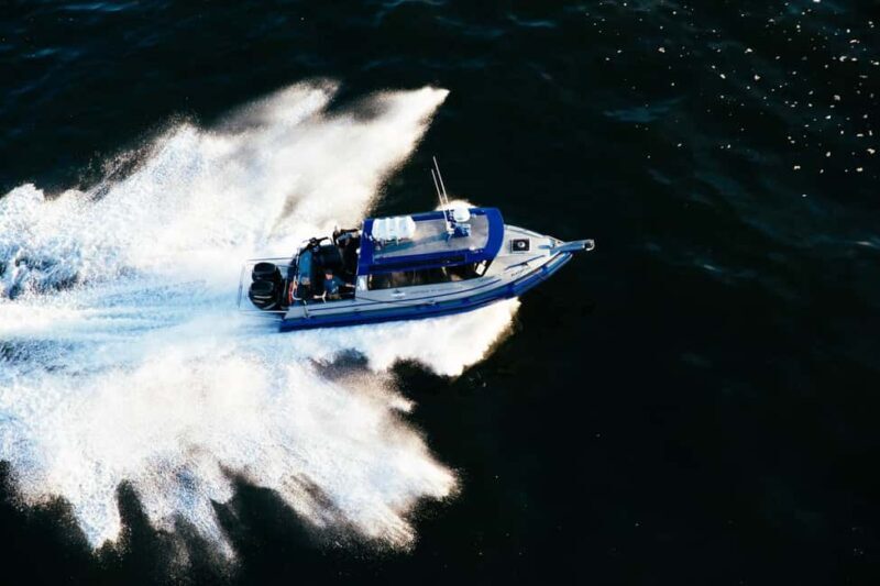 Tofino: Covered Boat Winter Wildlife Watching Tour - Key Points