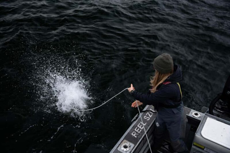Tofino: Private Boat Tour with Big Tree Trail & Crabbing - A Detailed Look at the Experience