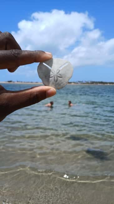 Tofo: Pansy Island and Pigs Island Day Trip - The Itinerary in Detail