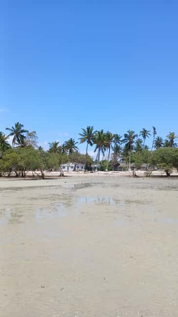 Tofo: Pansy Island and Pigs Island Day Trip - Final Words