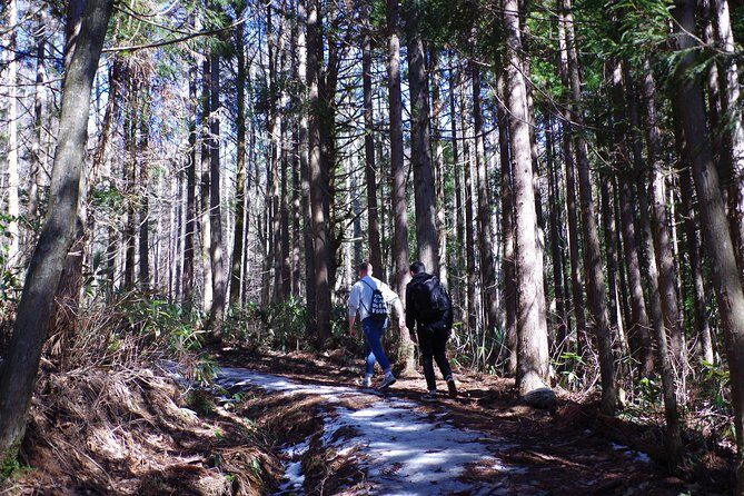 Togakushi: A Serene Walk Through Sacred Forests & Soba Traditions - Who Would Enjoy This Tour?