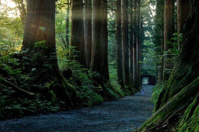 Togakushi Shrine Private Tour with English Local Guide - Exploring Togakushi Shrine with a Private Guide: A Thoughtful Journey into Nagano’s Sacred Roots