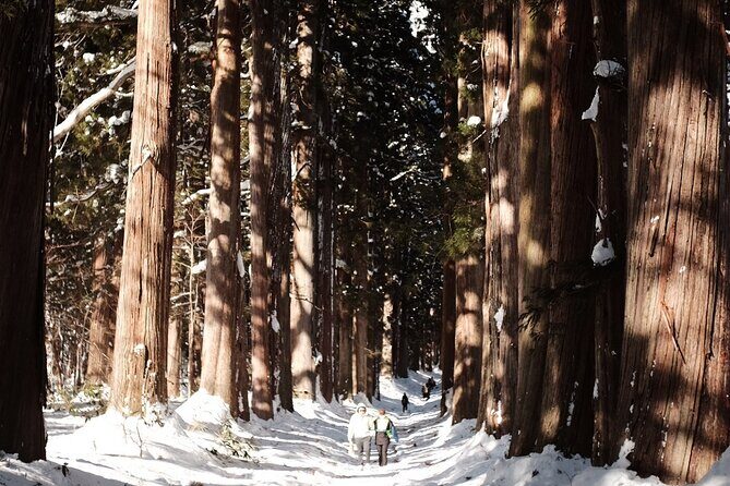 Togakushi Shrine Private Tour with English Local Guide - Who Will Appreciate This Tour?