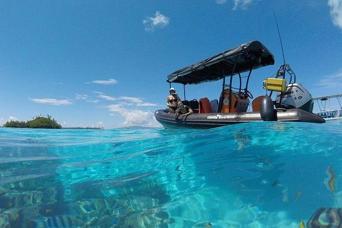 Tohora Bora Bora Snorkeling Lagoon Tours - Key Points