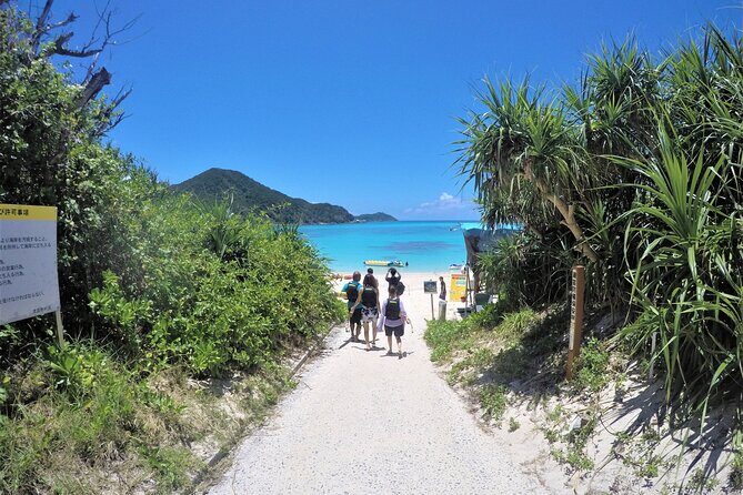 Tokashiki Island Day Trip from Naha - Discovering Tokashiki Island: An Overview