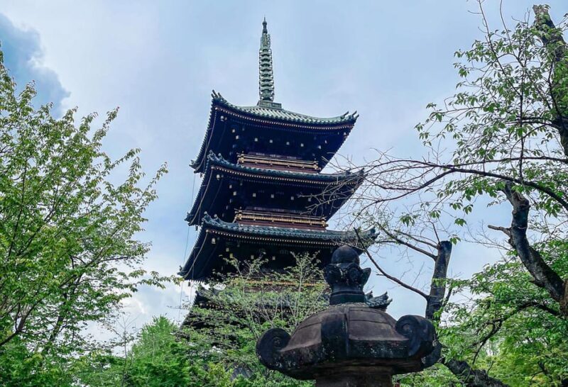 Tokio A: Tour de la ciudad en Español - Spanish - Discovering Tokyo: A Deep Dive into the Experience