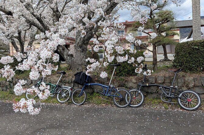 Tokushima Cycling Tour to Riverside Town and Indigo Dyeing - FAQ