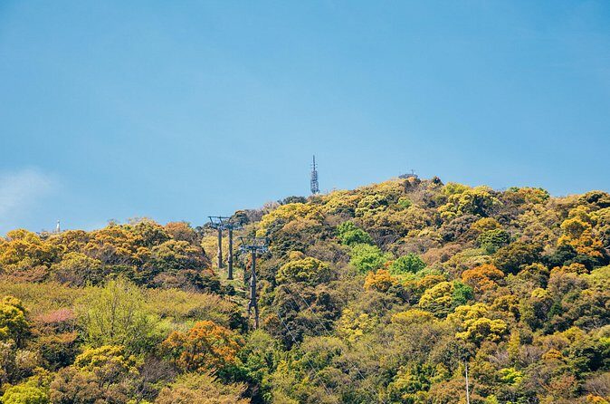 Tokushima Private Customizable Full Day Tour - The Experience: What You Can Expect