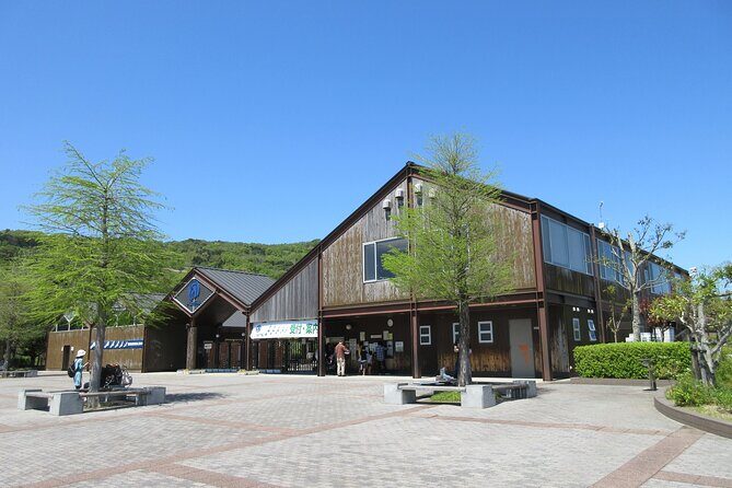 Tokushima Private Customizable Full Day Tour - Who Will Benefit Most?