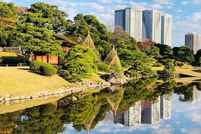Tokyo 1-Day Bus Tour, hotel pick-up and drop-off, Japan Gray Line - Who Will Benefit Most?