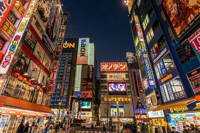 Tokyo 1-Day Bus Tour, hotel pick-up and drop-off, Japan Gray Line - The Sum Up