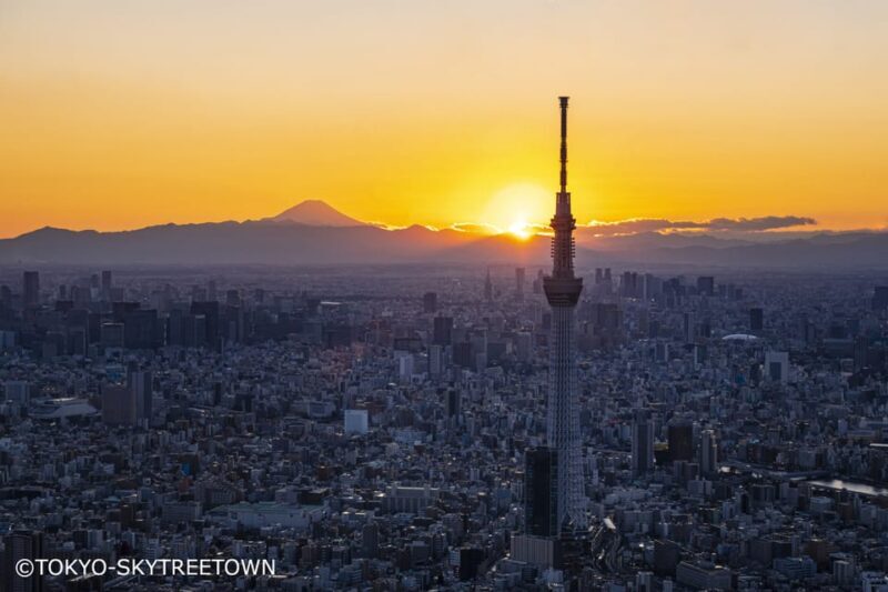 Tokyo: 1 Day Bus Tour with Meiji-Jingu,Odaiba,lunch&Skytree - Key Points