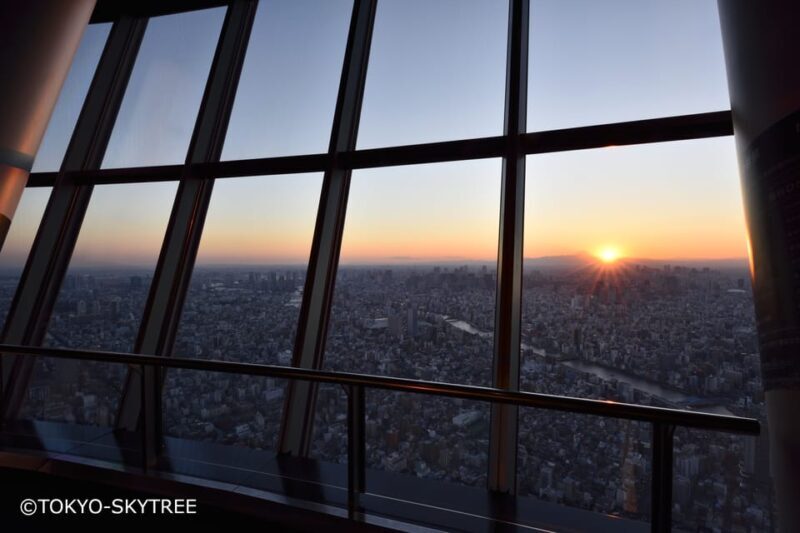 Tokyo: 1 Day Bus Tour with Meiji-Jingu,Odaiba,lunch&Skytree - Navigating the Full-Day Tour: What You Can Expect