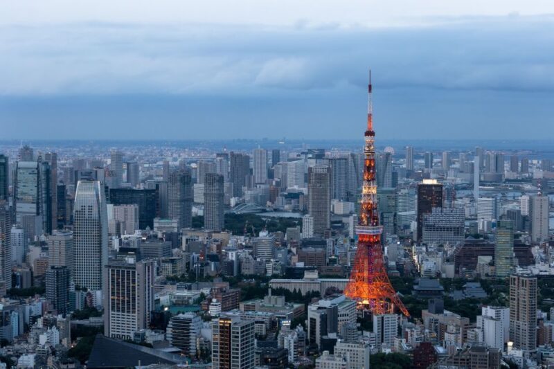 Tokyo: 1-Day Private Customizable Tour by Car - Who Will Love This Tour?