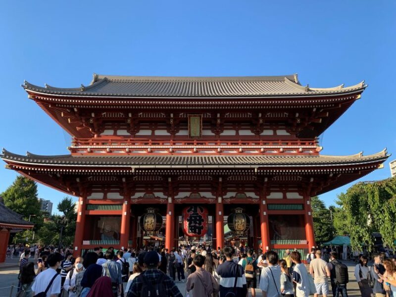 Tokyo: 1-Day Tokyo Private Tailor-made Tour - Transportation and Guide Quality