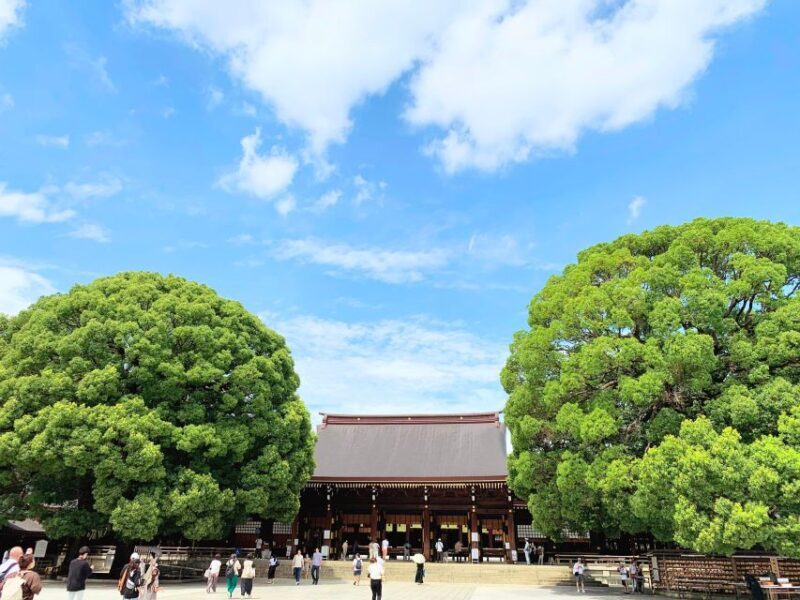 Tokyo: 1-Day Tokyo Private Tailor-made Tour - Value Considerations