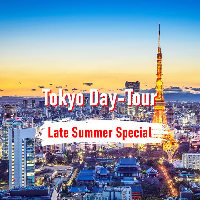 Tokyo: 10-hour Customizable Private Tour with Hotel Transfer - Who Should Consider This Tour?