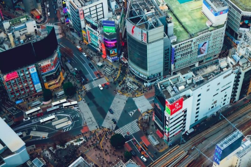Tokyo: 2-Day Private Tour Tokyo City & Mt. Fuji or Hakone. - An Easy and Enjoyable Way to See Tokyo and Mt. Fuji