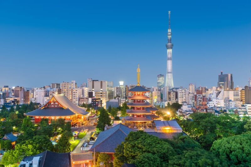 Tokyo: 2-Day Private Tour Tokyo City & Mt. Fuji or Hakone. - Summary