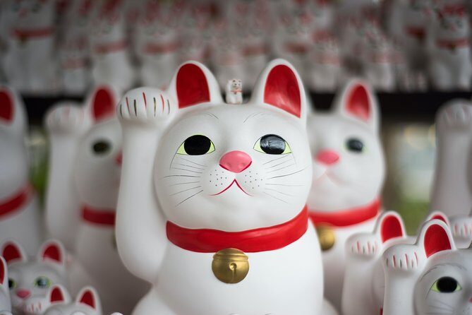 Tokyo 6 hours Customized Private Tour - Why Choose a Private, Customizable Tour?